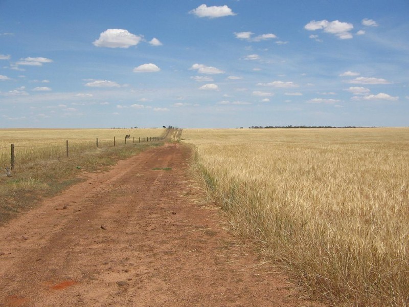 .. “GLENBURNIE”, Geranium SA 5301