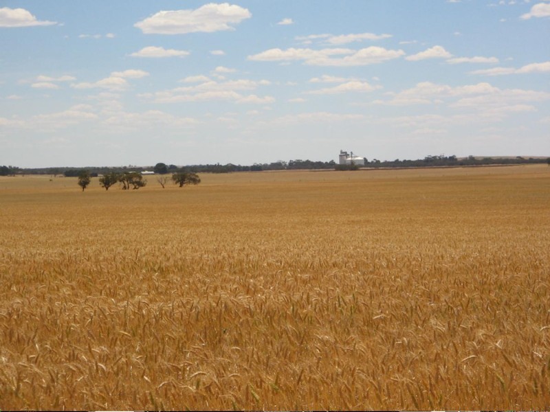 .. “GLENBURNIE”, Geranium SA 5301