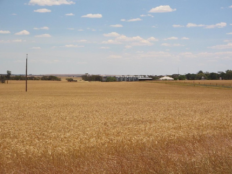 .. “CARCUMA”, Parrakie SA 5301