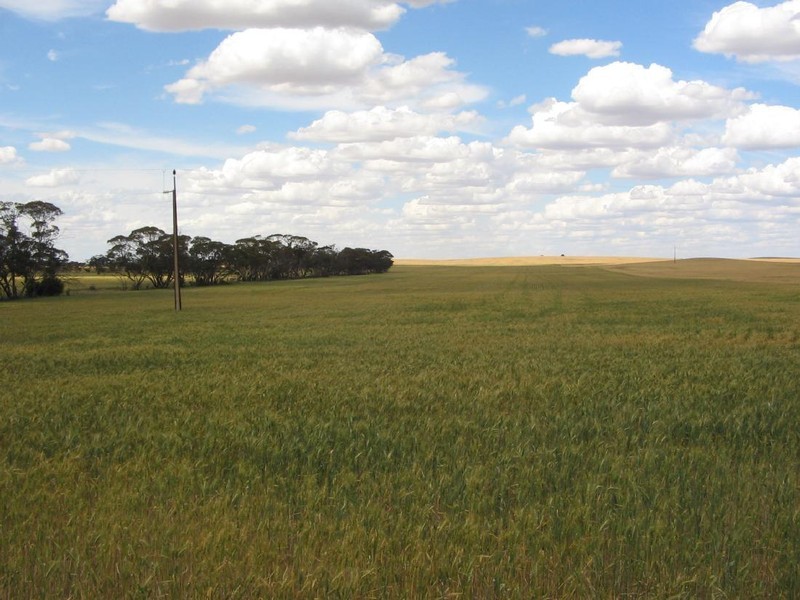 .. “CARCUMA NORTH”, Parrakie SA 5301