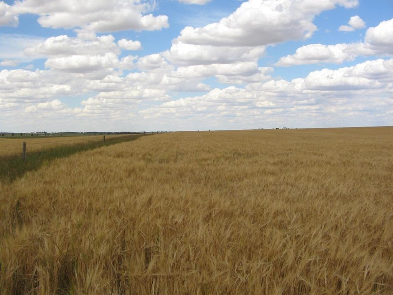 .. “CARCUMA NORTH”, Parrakie SA 5301