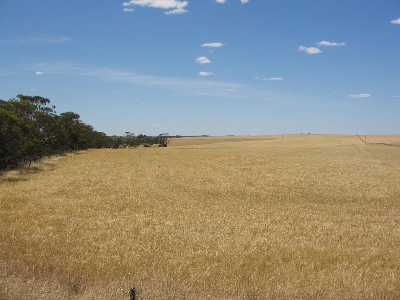 .. “CARCUMA NORTH”, Parrakie SA 5301