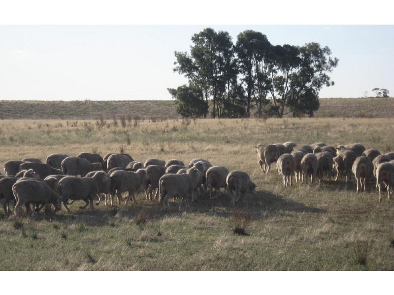 Allotment 640 Blacketts Road, Parrakie SA 5301