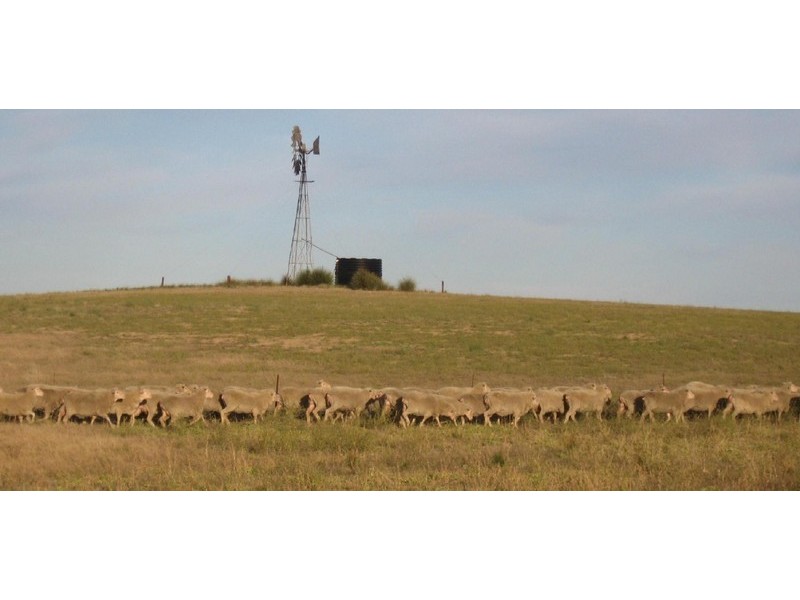 Allotment 640 Blacketts Road, Parrakie SA 5301