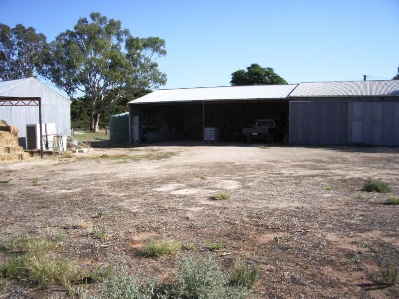 Lot 300 Cannawigara Road, Bordertown SA 5268