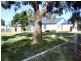 Lot 300 Cannawigara Road, Bordertown SA 5268