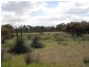 Lot 2 sec. 94 Custon/Frances Road, Bangham SA 5268