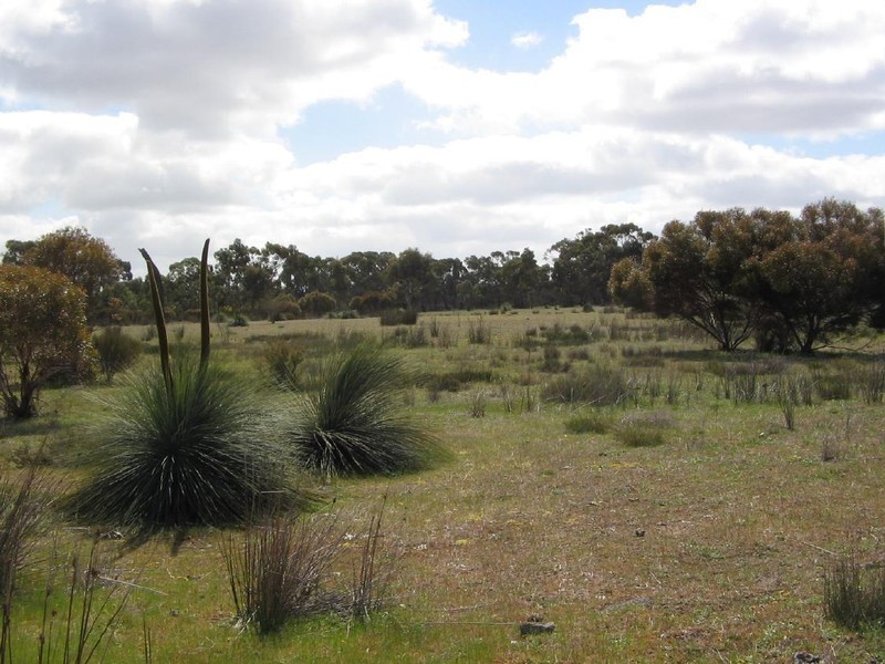 Lot 2 sec. 94 Custon/Frances Road, Bangham SA 5268
