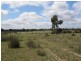 Lot 2 sec. 94 Custon/Frances Road, Bangham SA 5268