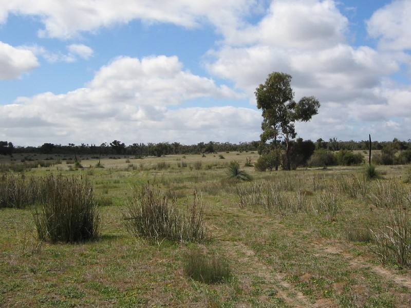 Lot 2 sec. 94 Custon/Frances Road, Bangham SA 5268