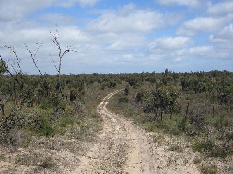 Lot 2 sec. 94 Custon/Frances Road, Bangham SA 5268