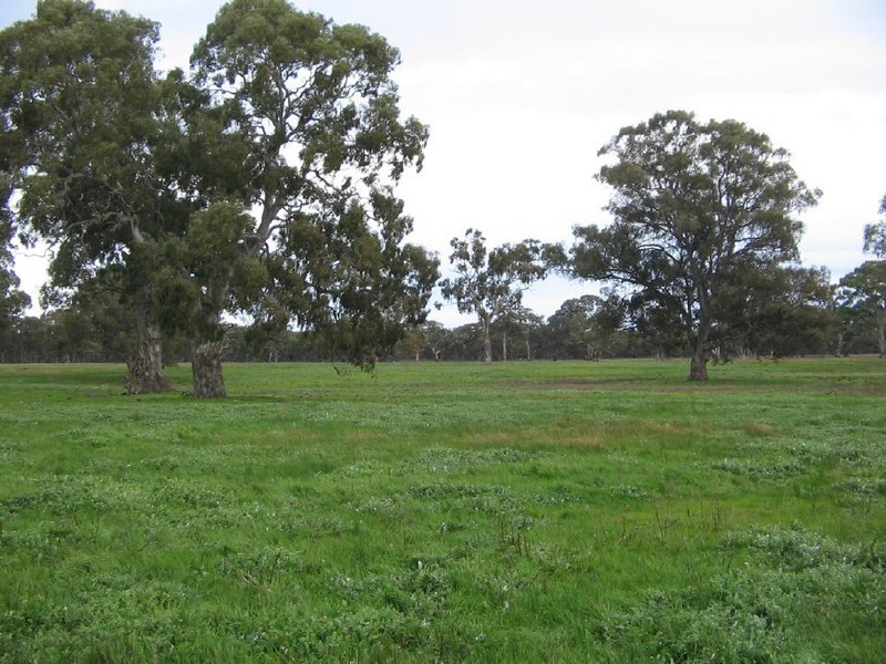 Sec 465 North Settlements Road, Joanna SA 5271
