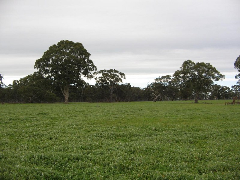 Sec 465 North Settlements Road, Joanna SA 5271