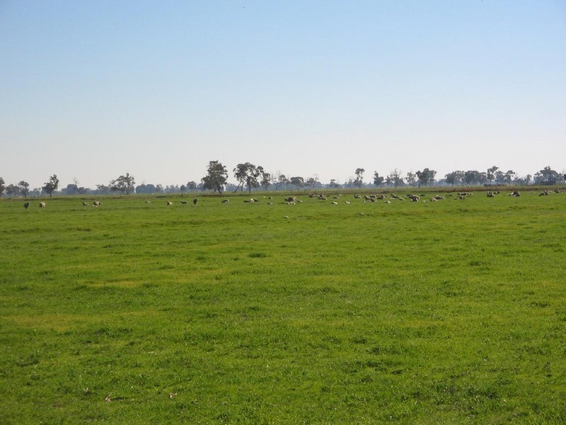 Sec 357 Blacks Road, Keith SA 5267