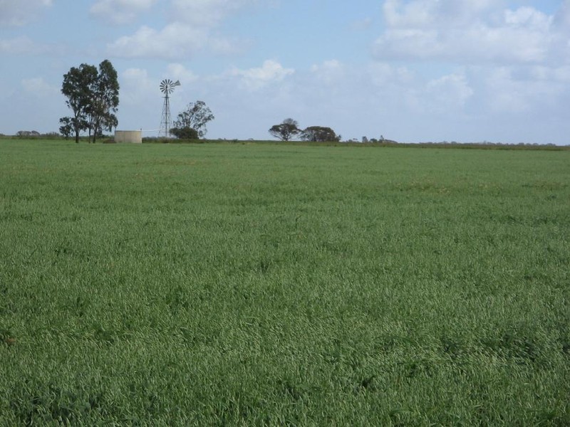 Sec 83 Spur Road, Bordertown SA 5268