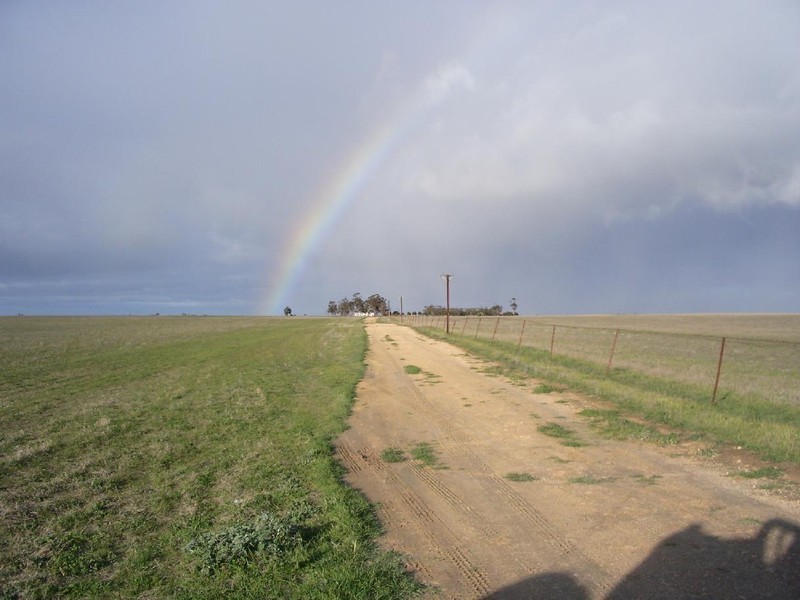 Sec 113 Duckhole Road, Lameroo SA 5302