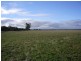 Sec 113 Duckhole Road, Lameroo SA 5302