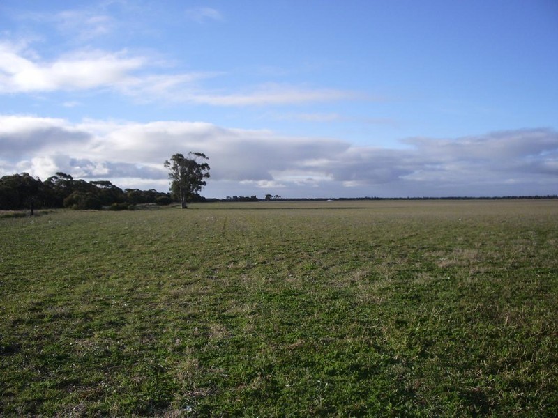 Sec 113 Duckhole Road, Lameroo SA 5302
