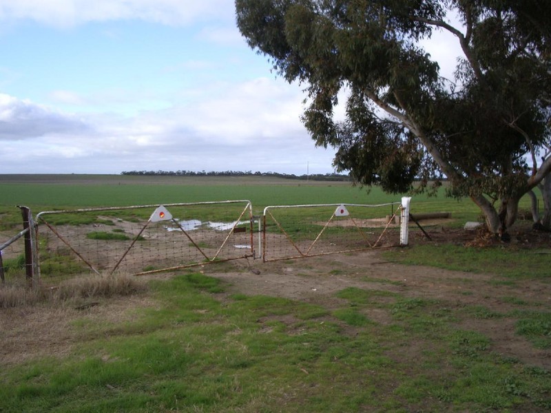Sec 113 Duckhole Road, Lameroo SA 5302