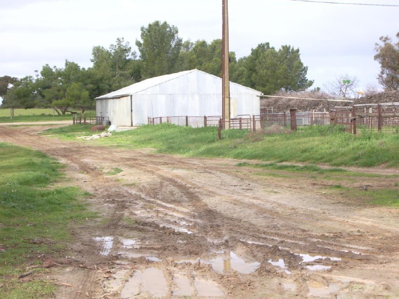 Sec 113 Duckhole Road, Lameroo SA 5302