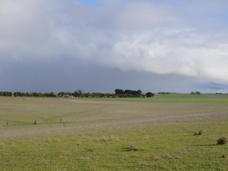 Sec 113 Duckhole Road, Lameroo SA 5302