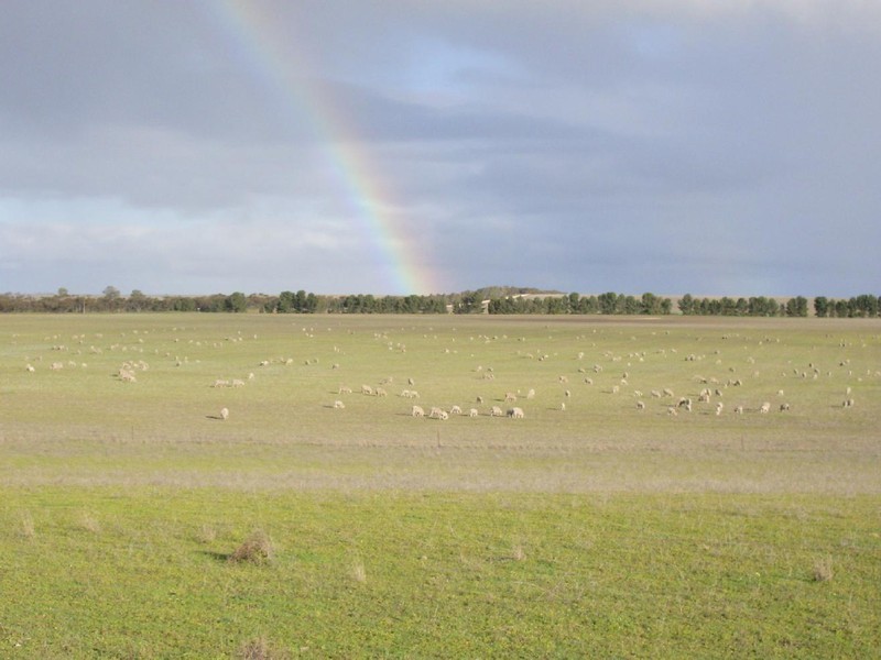 Sec 113 Duckhole Road, Lameroo SA 5302