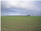 Sec 113 Duckhole Road, Lameroo SA 5302