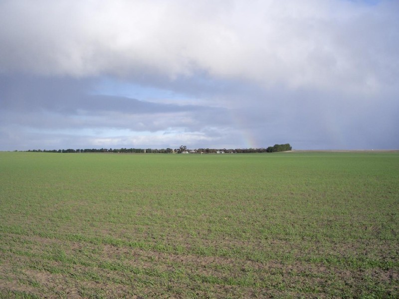 Sec 113 Duckhole Road, Lameroo SA 5302