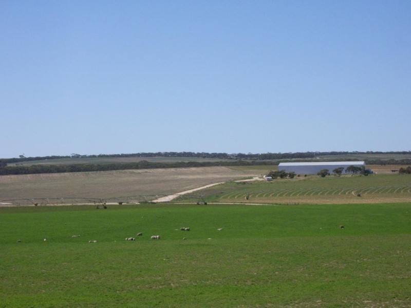 “Hildalea” Mallee Highway  SA, Lameroo SA 5302
