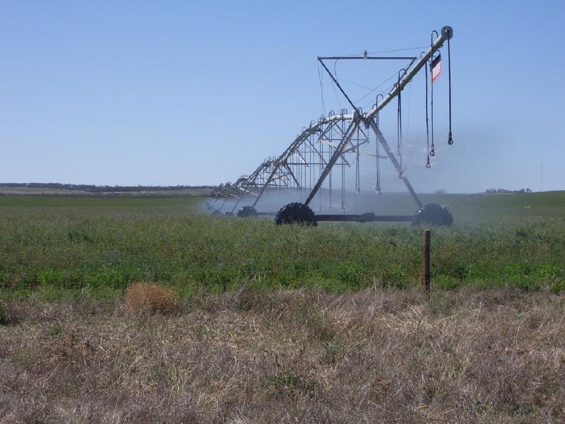 “Hildalea” Mallee Highway  SA, Murray Bridge SA 5253