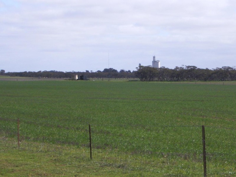 . Kulkami, Karoonda SA 5307