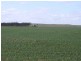 . Kulkami, Karoonda SA 5307