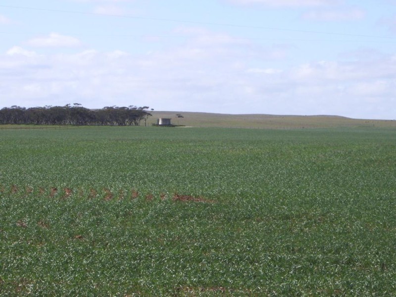 . Kulkami, Karoonda SA 5307