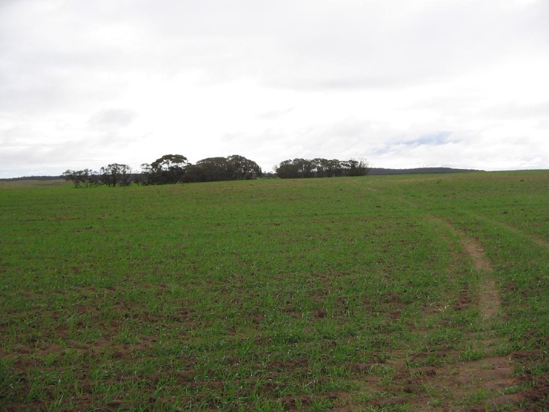 . Kulkami, Karoonda SA 5307