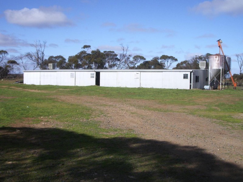 . Kulkami, Karoonda SA 5307