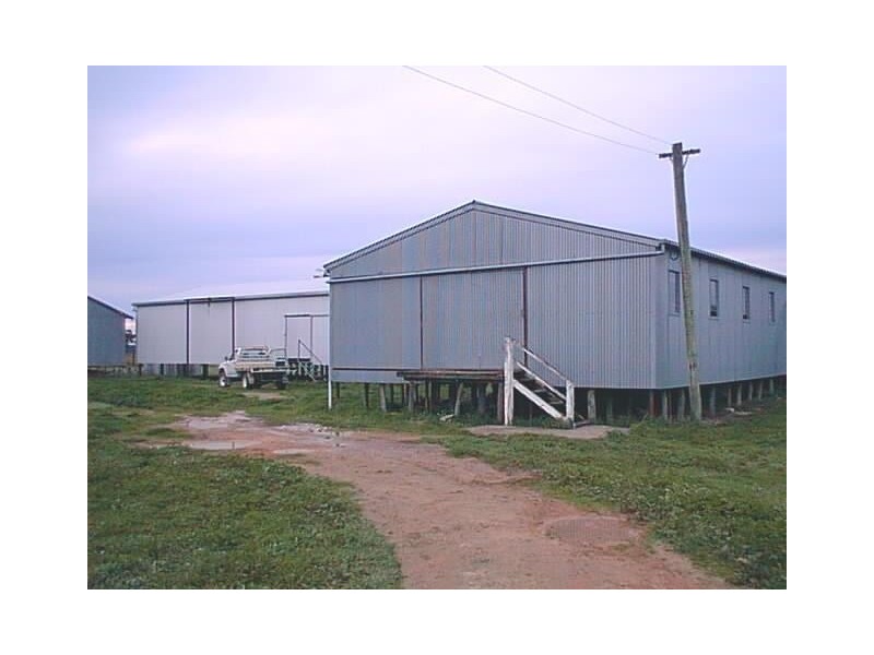 Bolinda/Milnes Cannawigara Road, Mundulla SA 5270