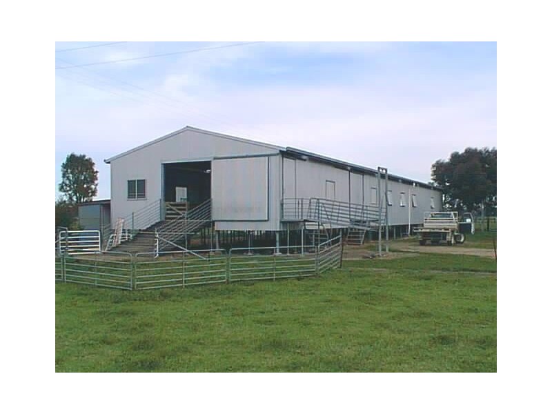 Bolinda/Milnes Cannawigara Road, Mundulla SA 5270