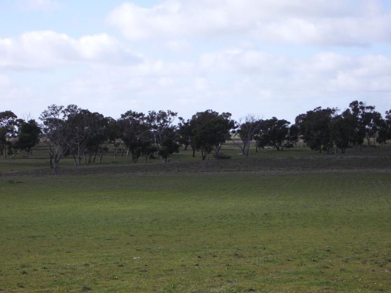 Lot 75 Senior Road, Keith SA 5267