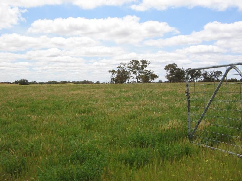 Lot 75 Senior Road, Keith SA 5267