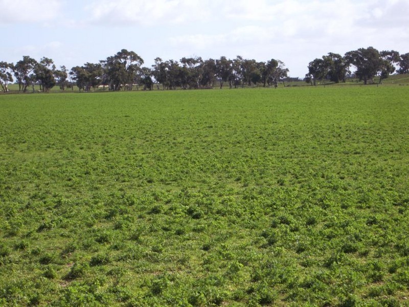 Lot 75 Senior Road, Keith SA 5267