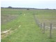 Lot 53 off Pinnaroo Rd, Bordertown SA 5268
