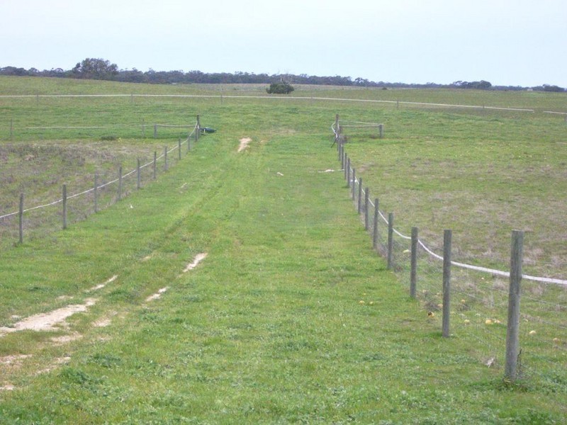 Lot 53 off Pinnaroo Rd, Bordertown SA 5268