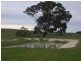 Lot 53 off Pinnaroo Rd, Bordertown SA 5268