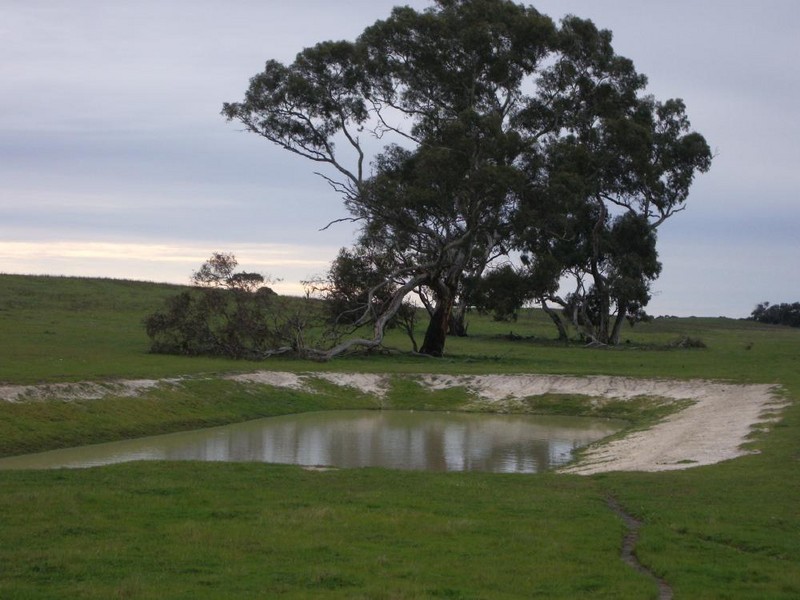 Lot 53 off Pinnaroo Rd, Bordertown SA 5268