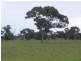Lot 53 off Pinnaroo Rd, Bordertown SA 5268