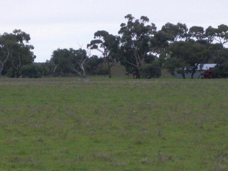 Lot 53 off Pinnaroo Rd, Bordertown SA 5268