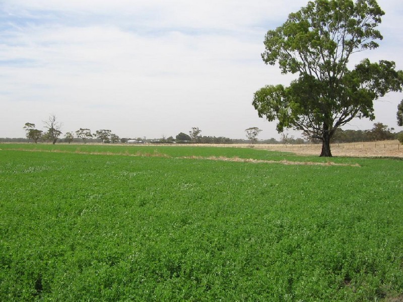 Bolinda Cannawigara Road, Bordertown SA 5268