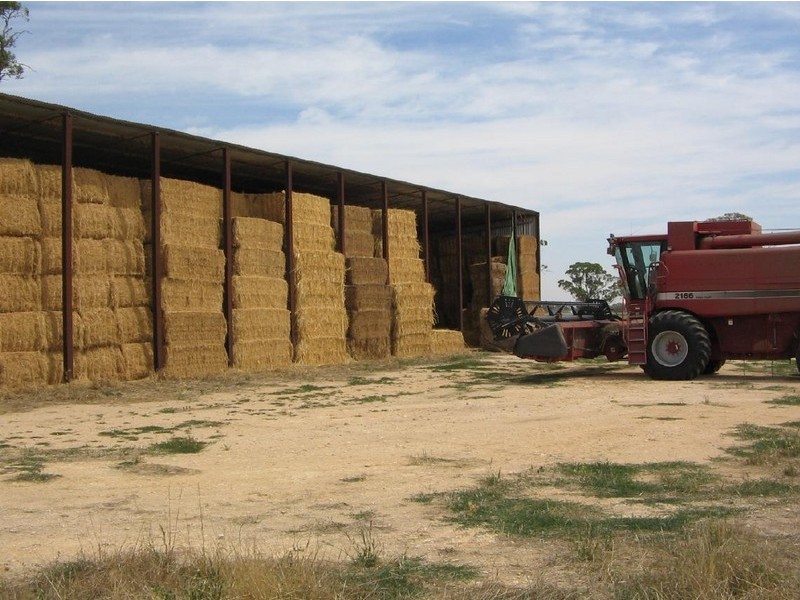 Bolinda Cannawigara Road, Bordertown SA 5268