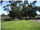 Lot 6 Pinnaroo rd, Bordertown SA 5268