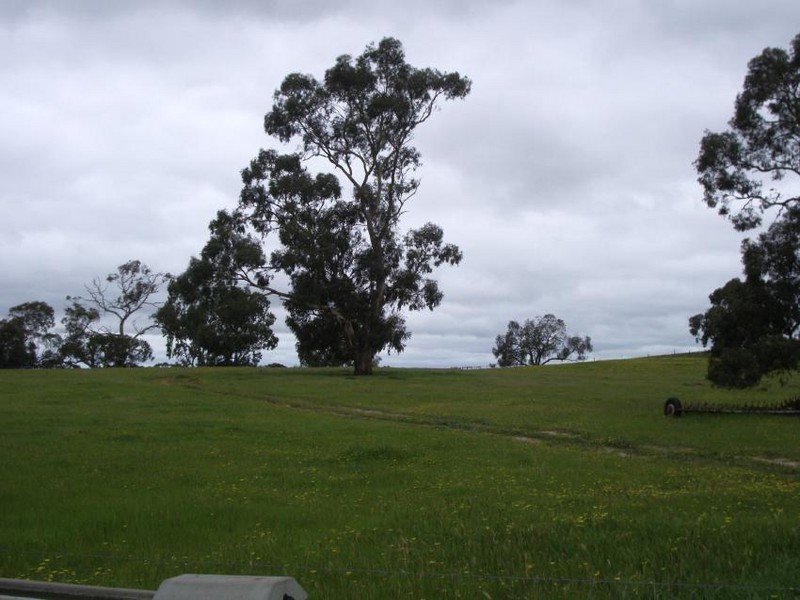 Lot 6 Pinnaroo rd, Bordertown SA 5268